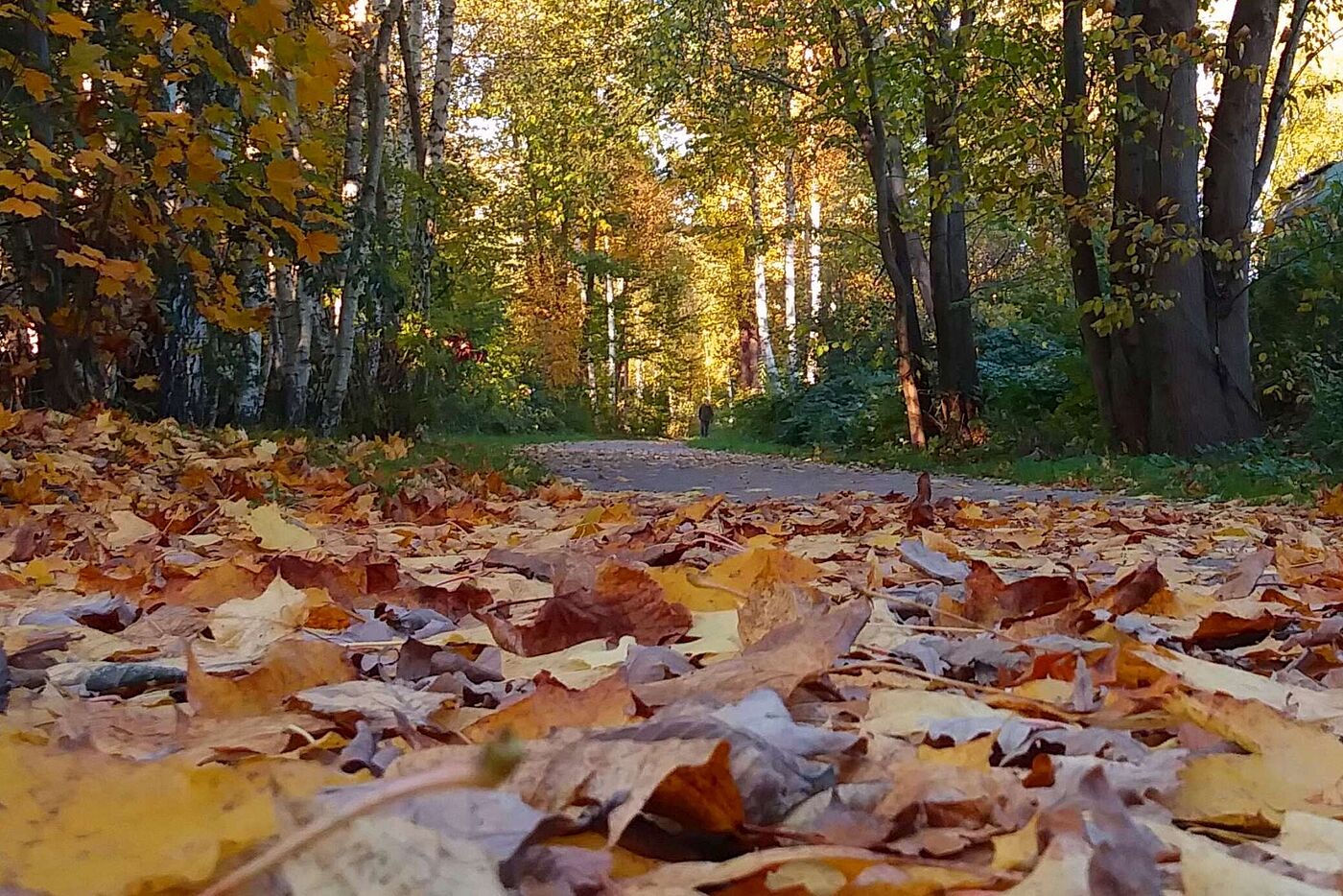 Veloroute im Herbst